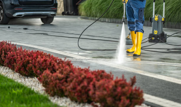 Best Roof Pressure Washing  in Lapwai, ID